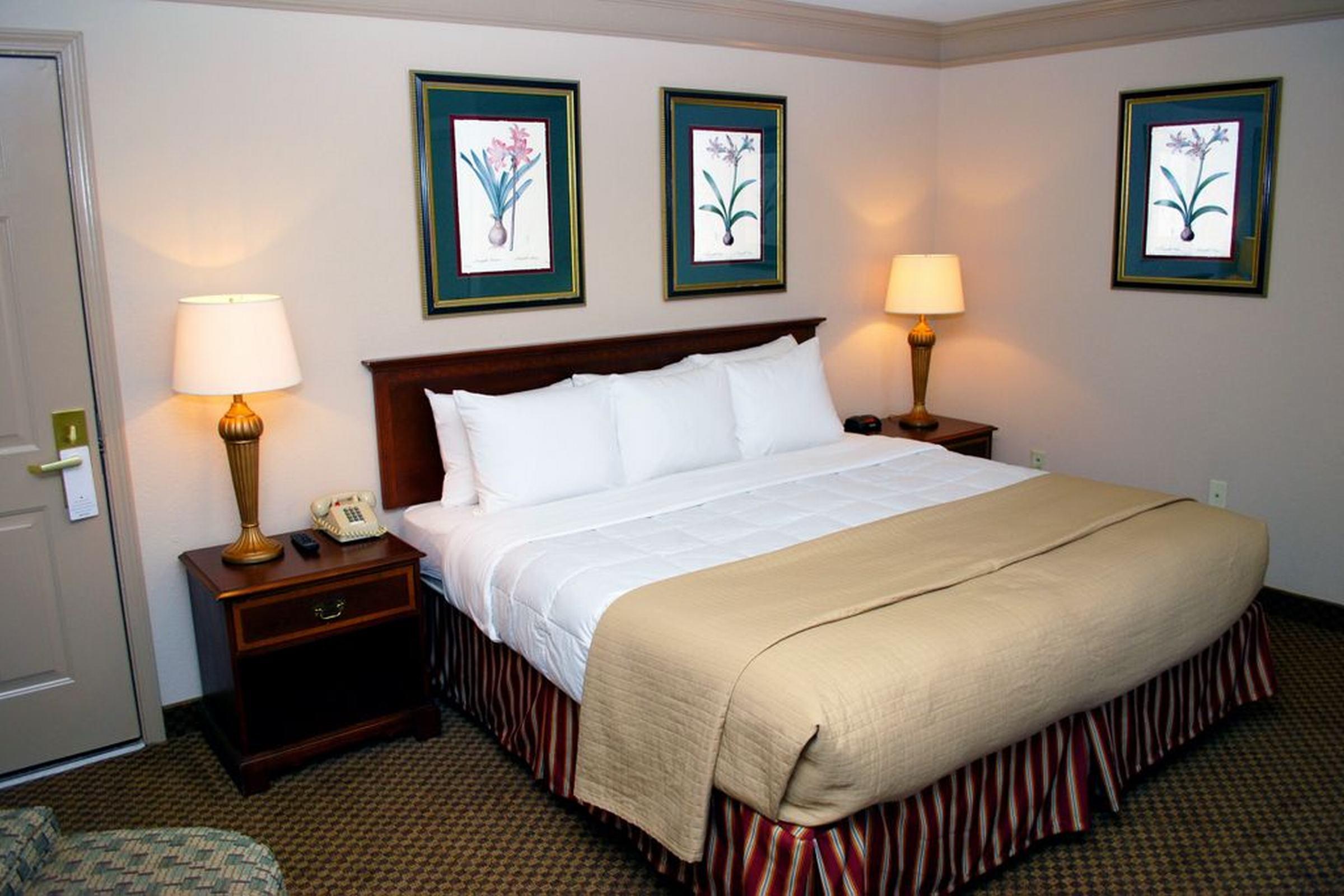 Clarion Inn & Suites Atlanta Downtown Esterno foto