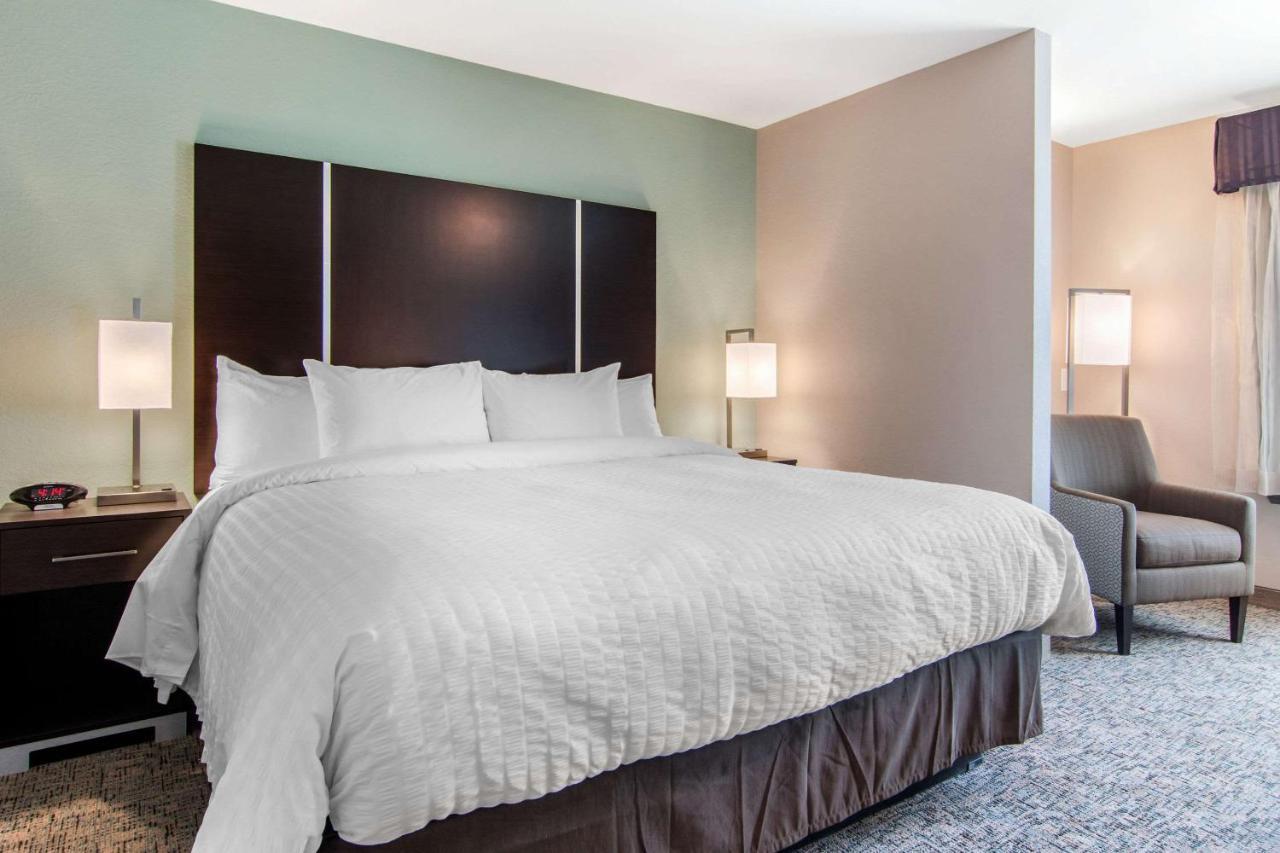Clarion Inn & Suites Atlanta Downtown Esterno foto